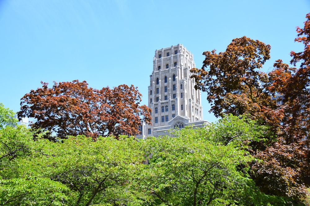 a tall white building surrounded by trees on a sunny day