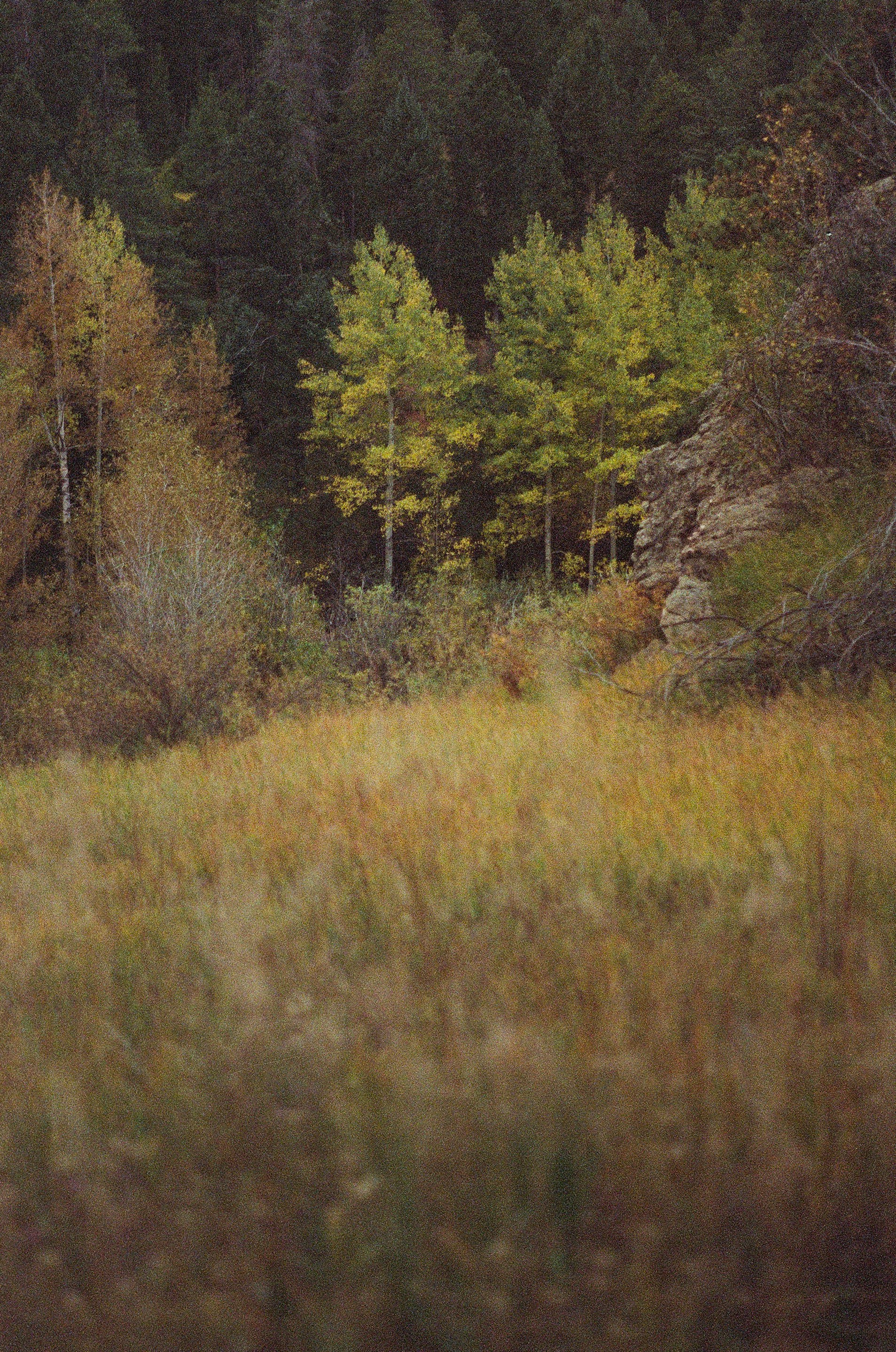 Photo by elsievannice1