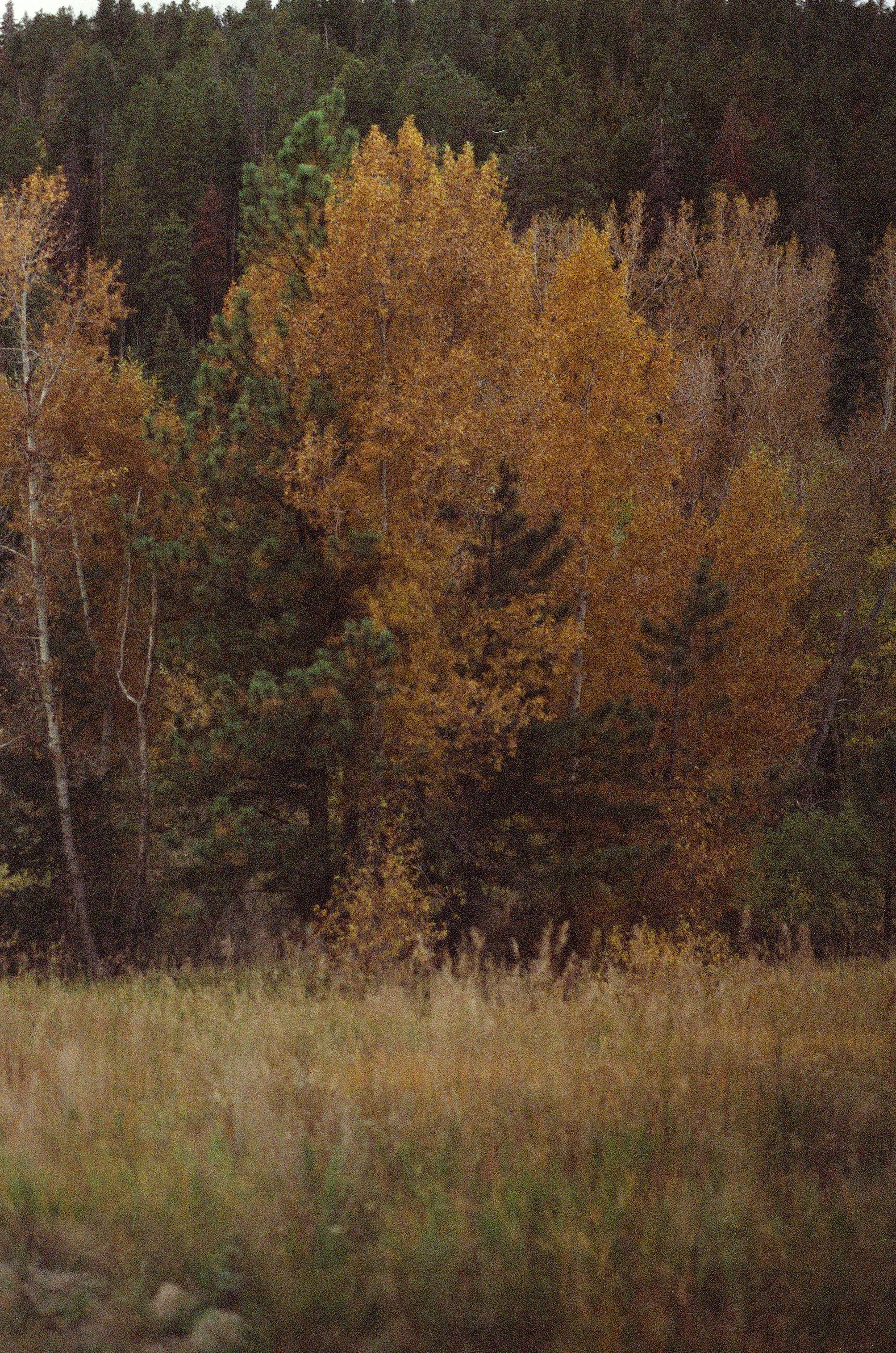 Photo by elsievannice1