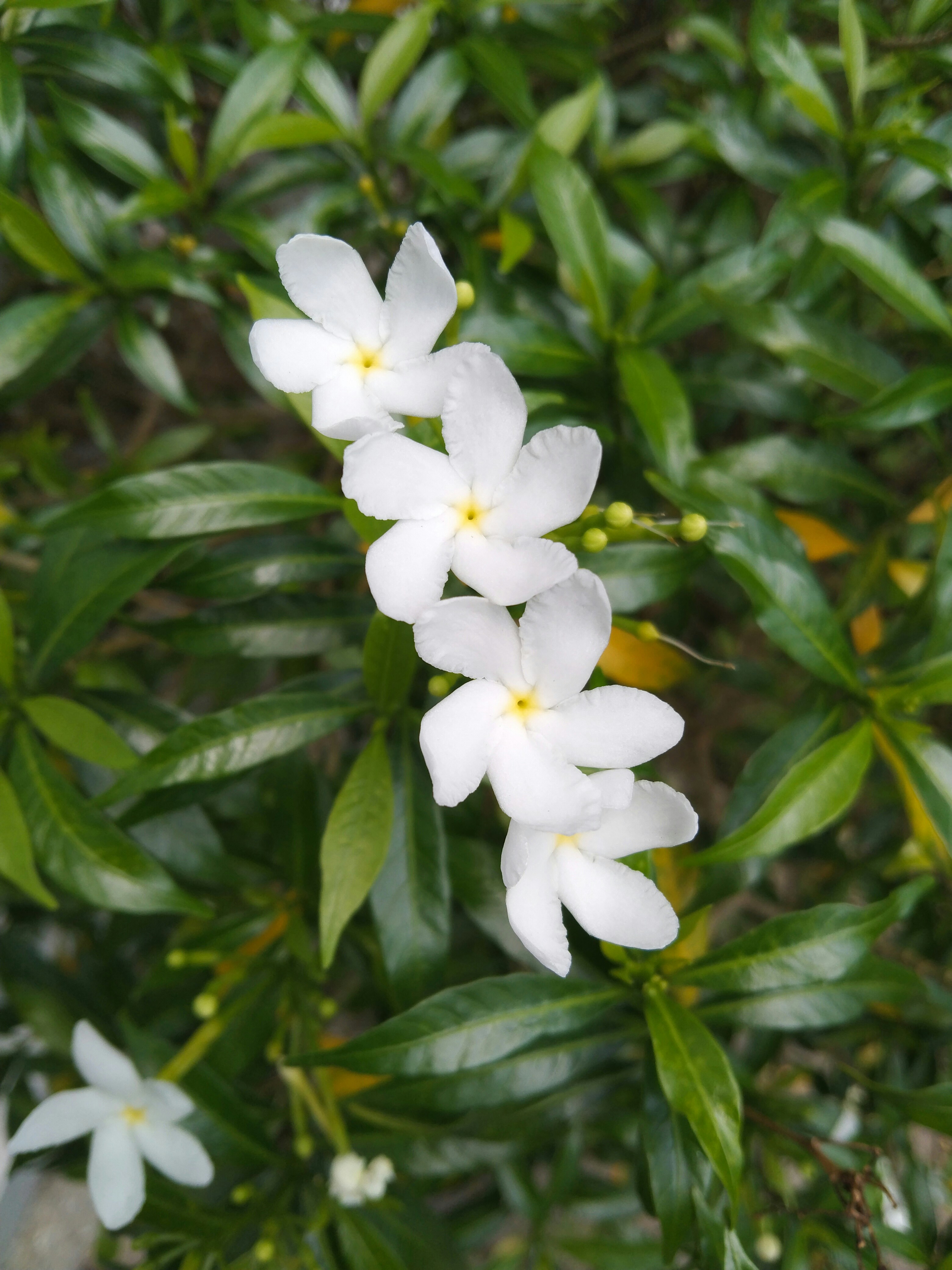 Photo by annisamumtaz