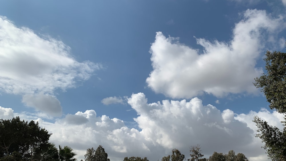 a blue sky with clouds and trees in the foreground