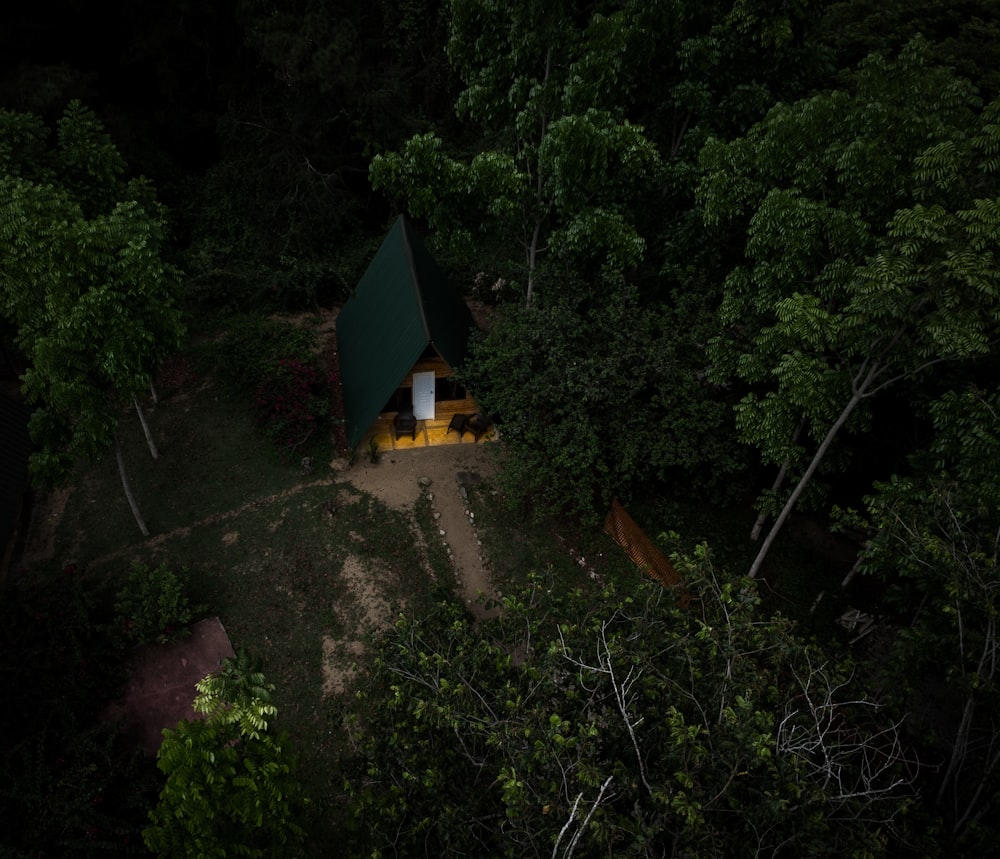 a tent in the middle of a forest at night