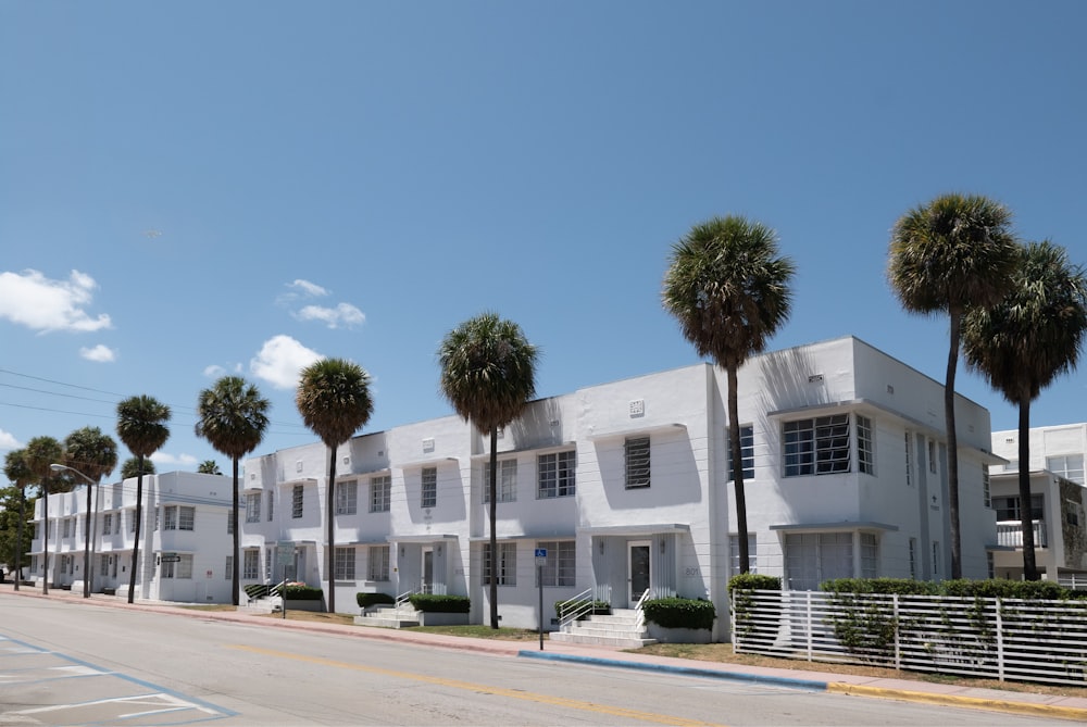 a row of white buildings with palm trees in front of them