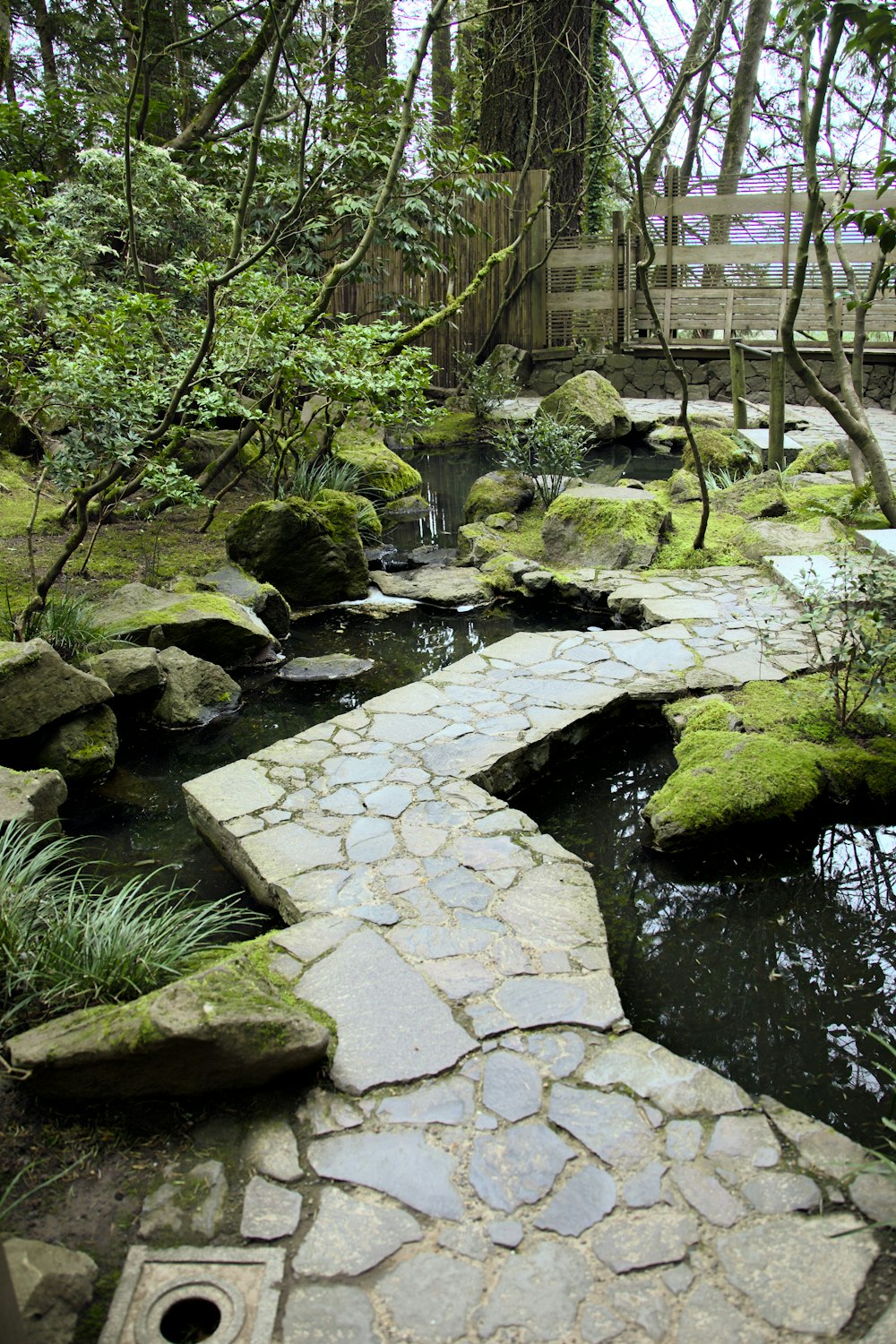 a stone path leads to a small pond