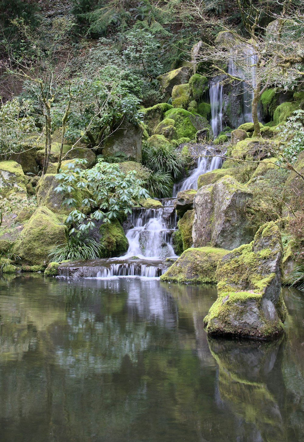 a small waterfall in the middle of a forest