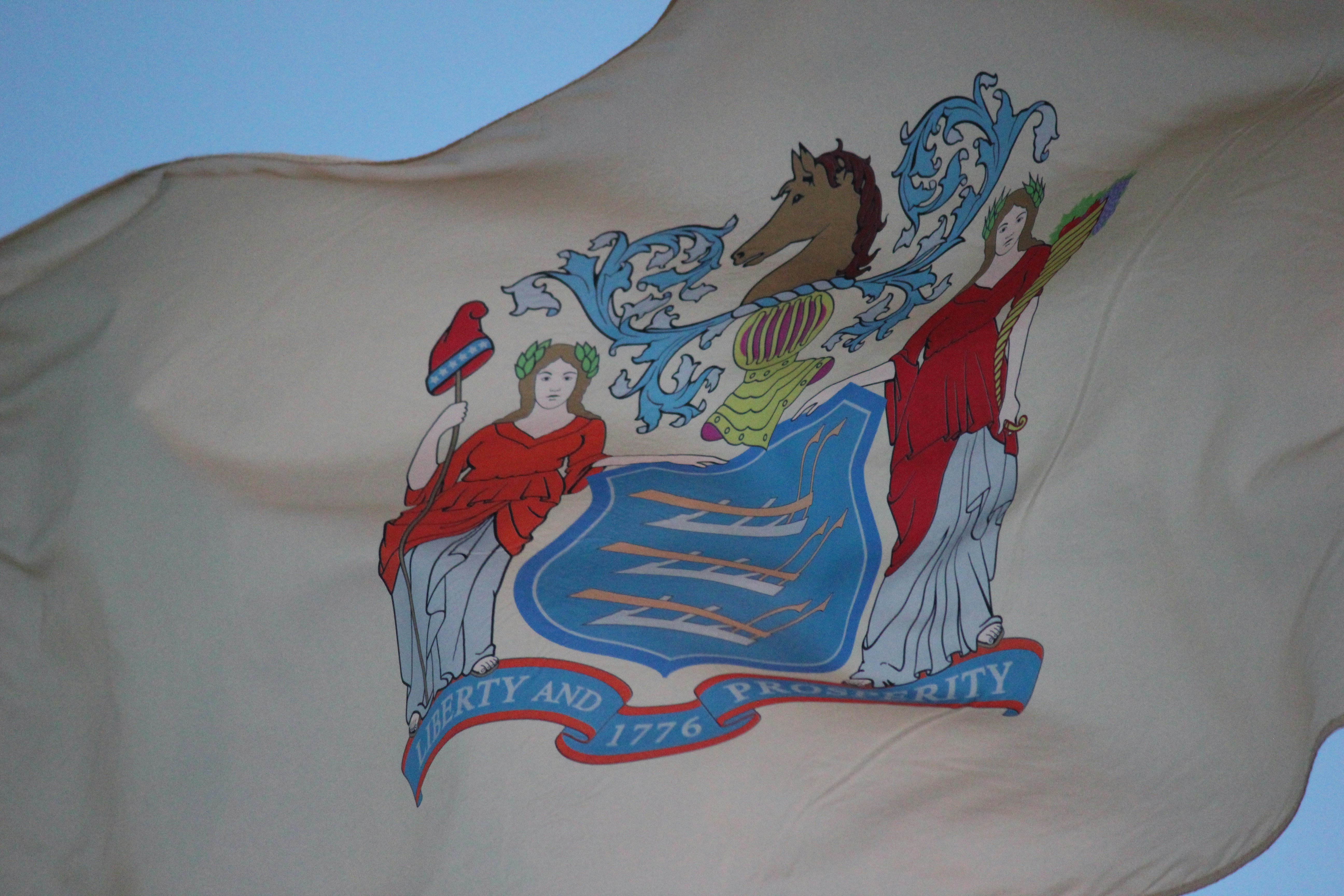 Your Representatives