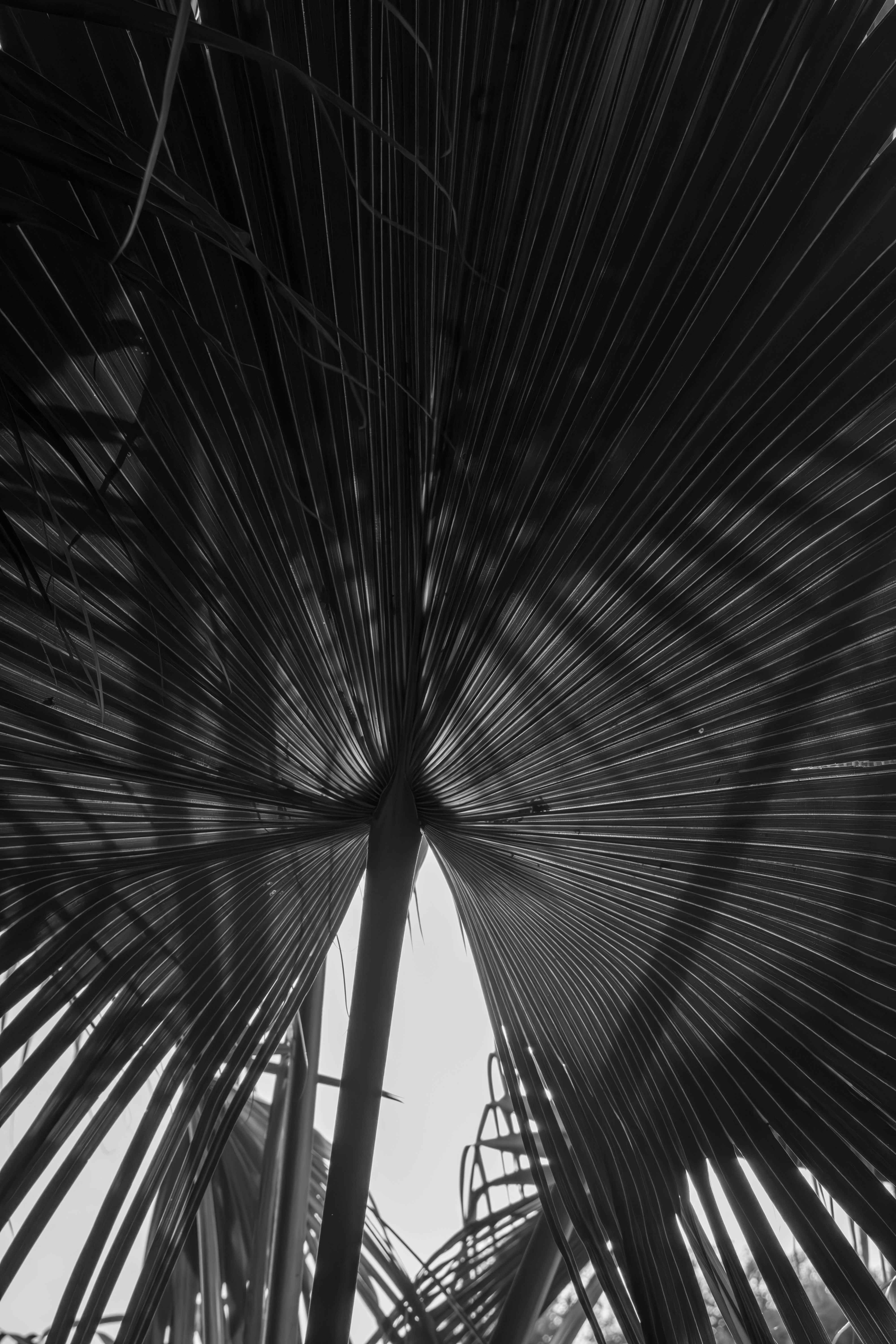 Photo by astro_civil