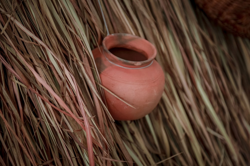 a pink vase sitting on top of a grass covered ground
