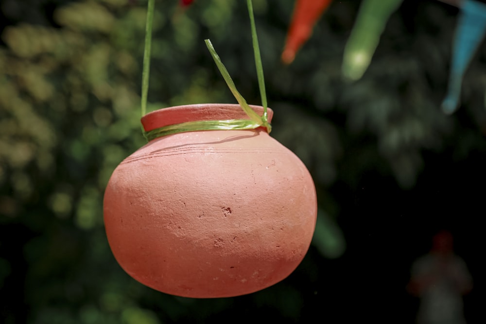 a pink pot hanging from a line of clothes pins