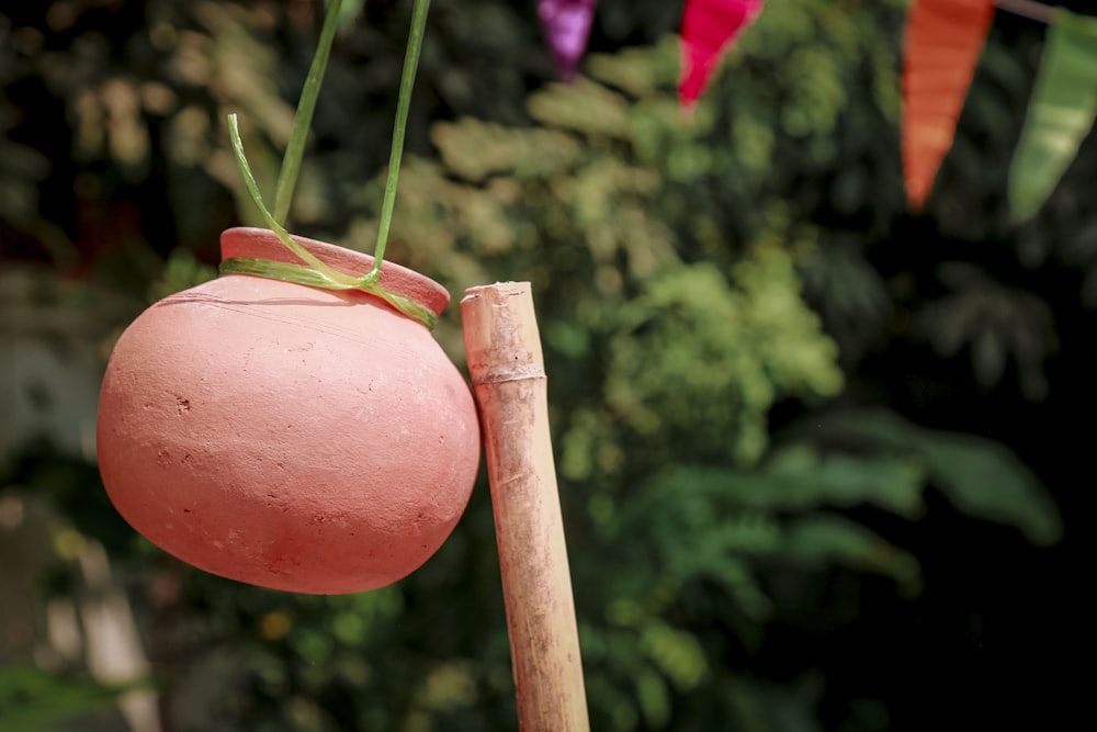 a pink vase hanging from a wooden pole