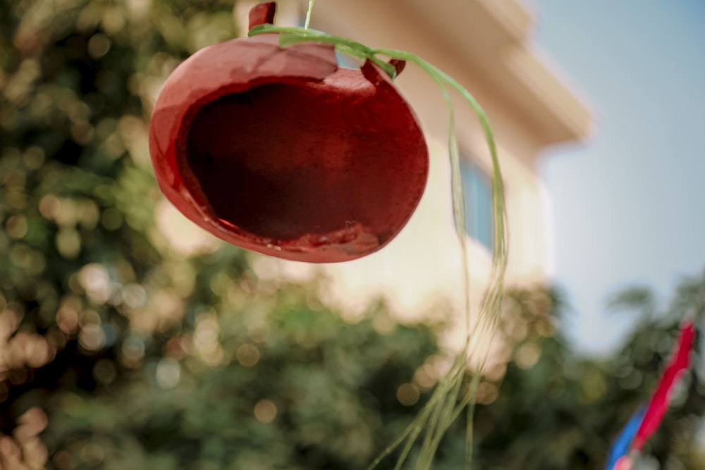 a wind chime hanging from a tree in front of a building