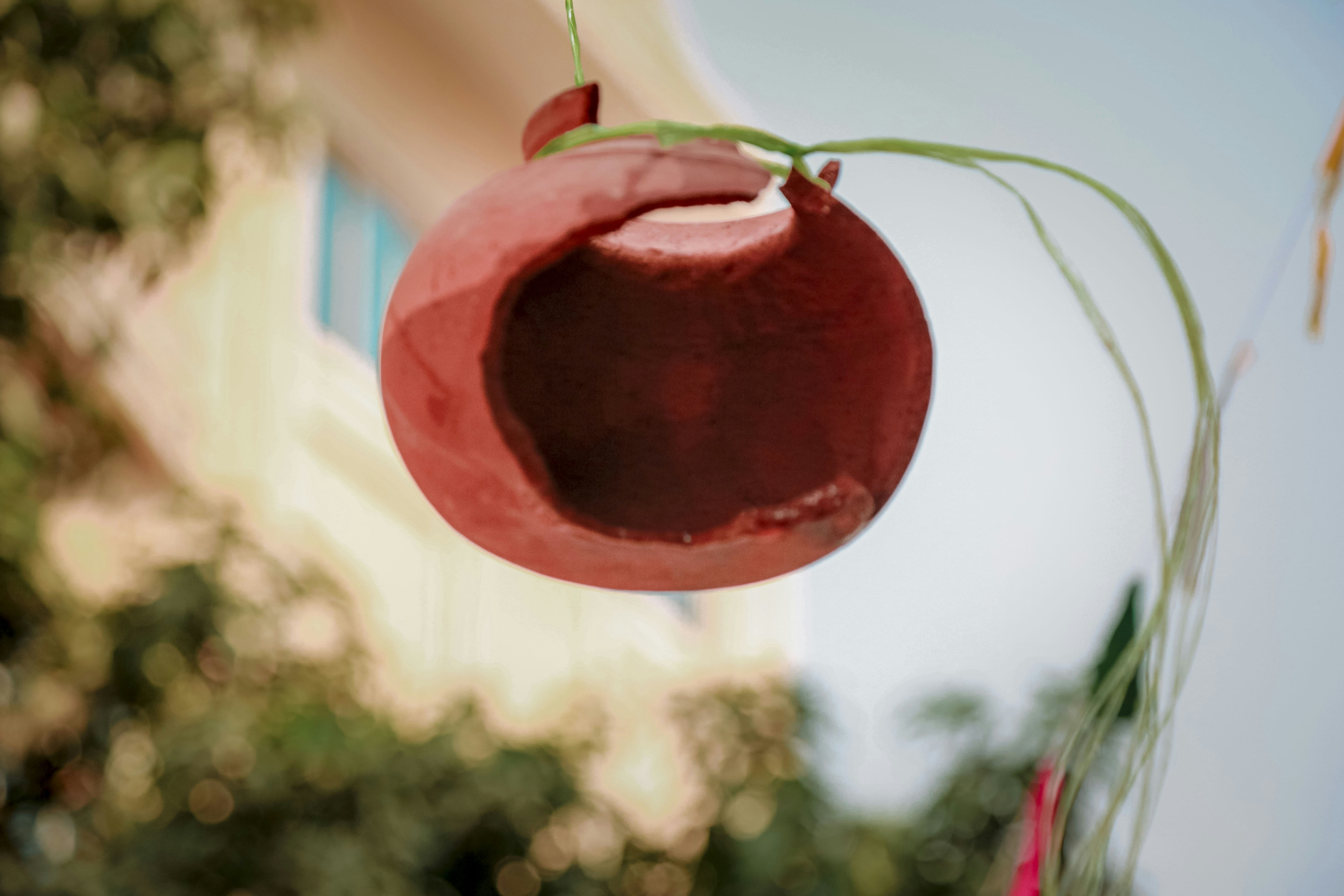A close up of a red object hanging from a tree photo – Free Khmer new ...