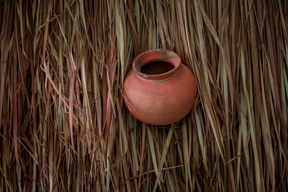 a red vase sitting on top of a grass covered field