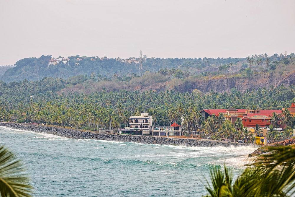 a view of a beach with houses and palm trees
