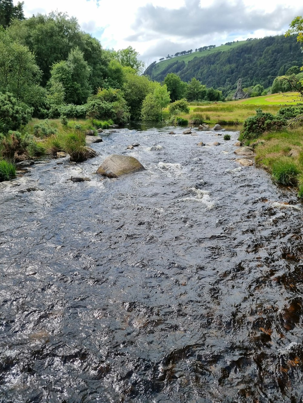 a river running through a lush green forest