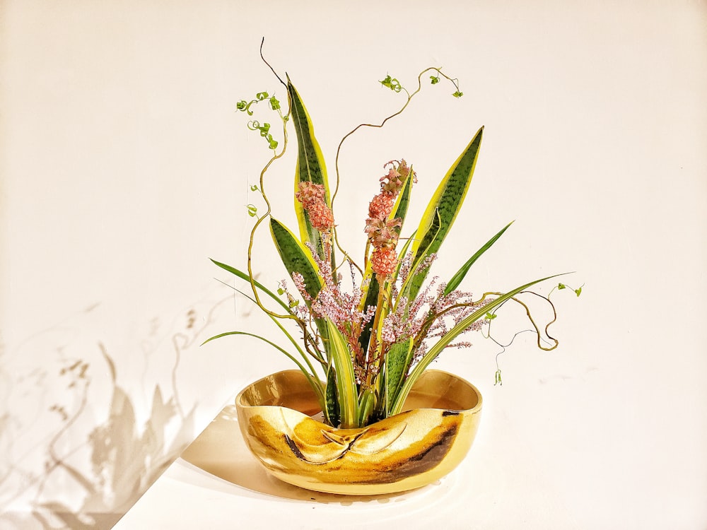 a plant in a bowl on a table