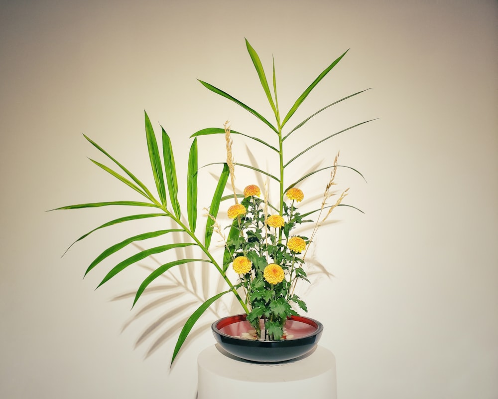 una planta en maceta encima de una mesa blanca