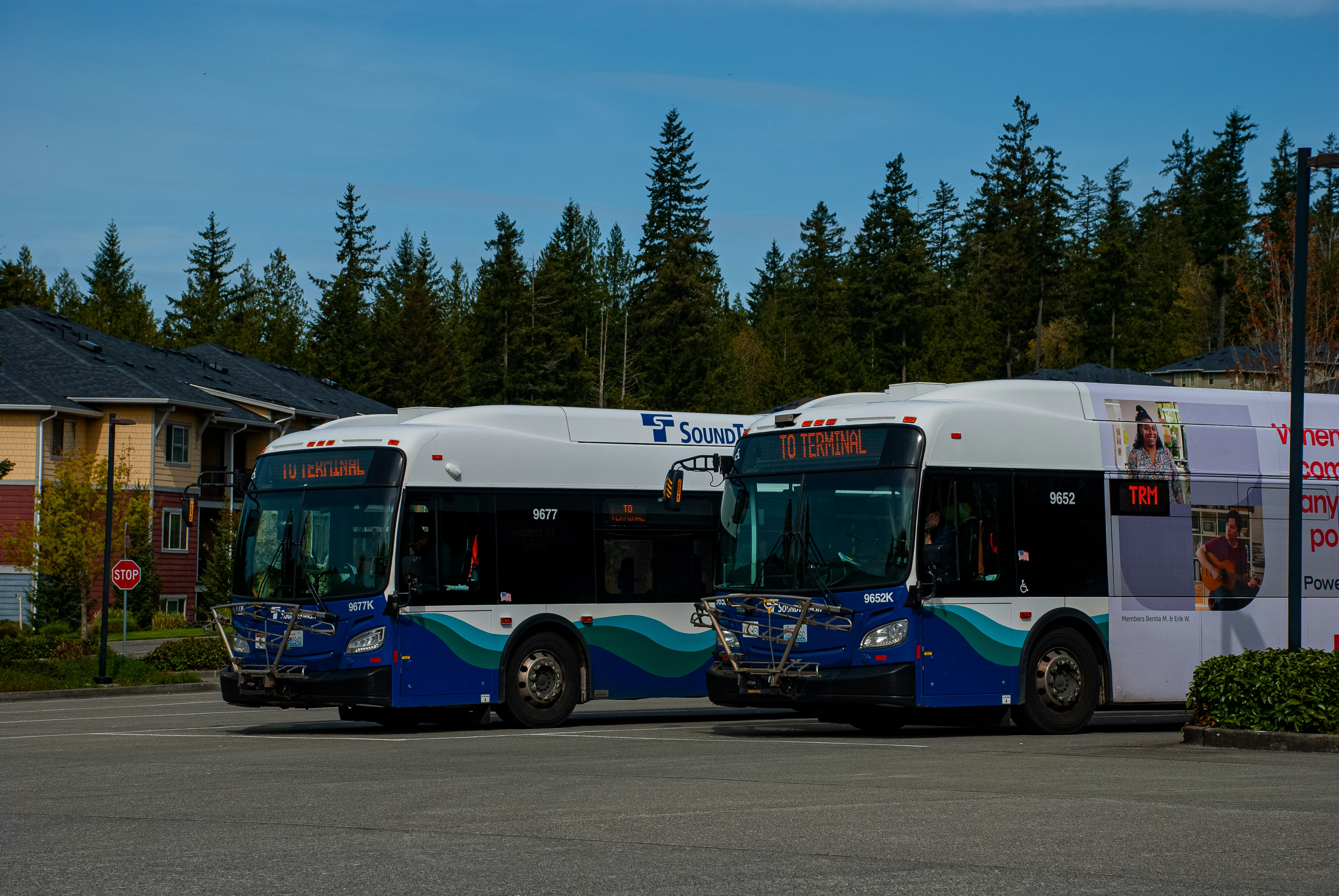 Chart comparing features of charter bus companies