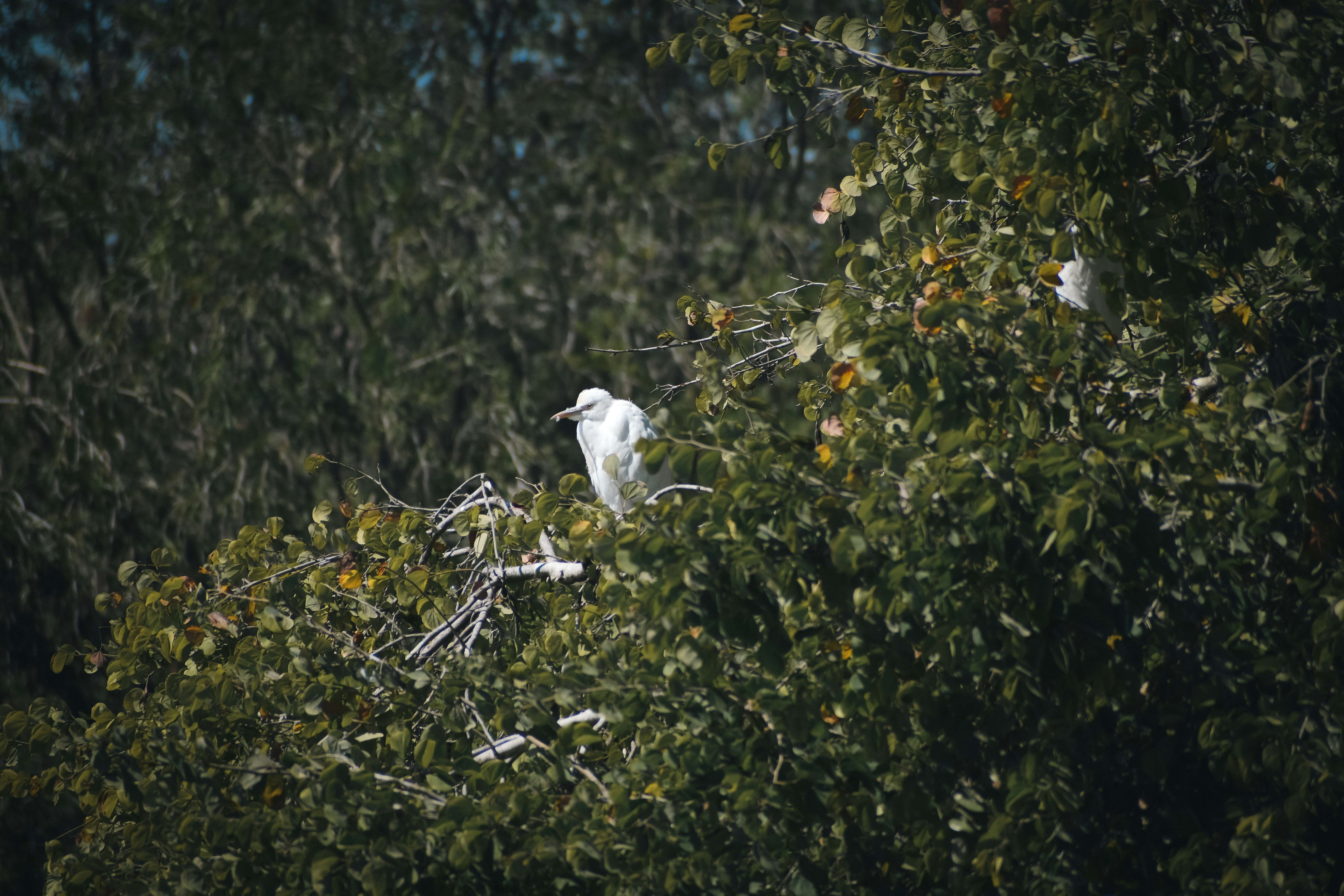 Photo by garv_4
