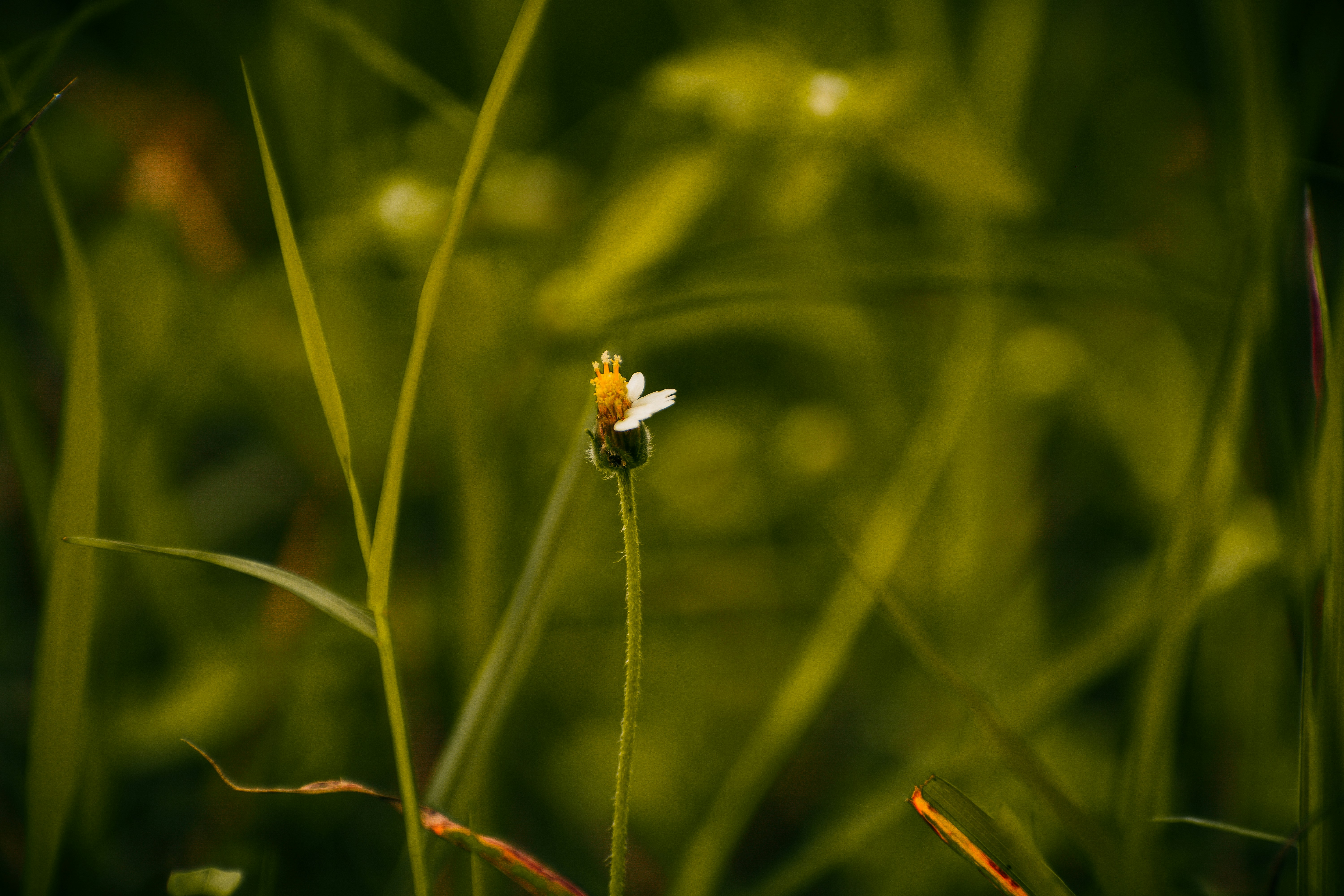 5 prompts IA incontournables pour booster vos revenus