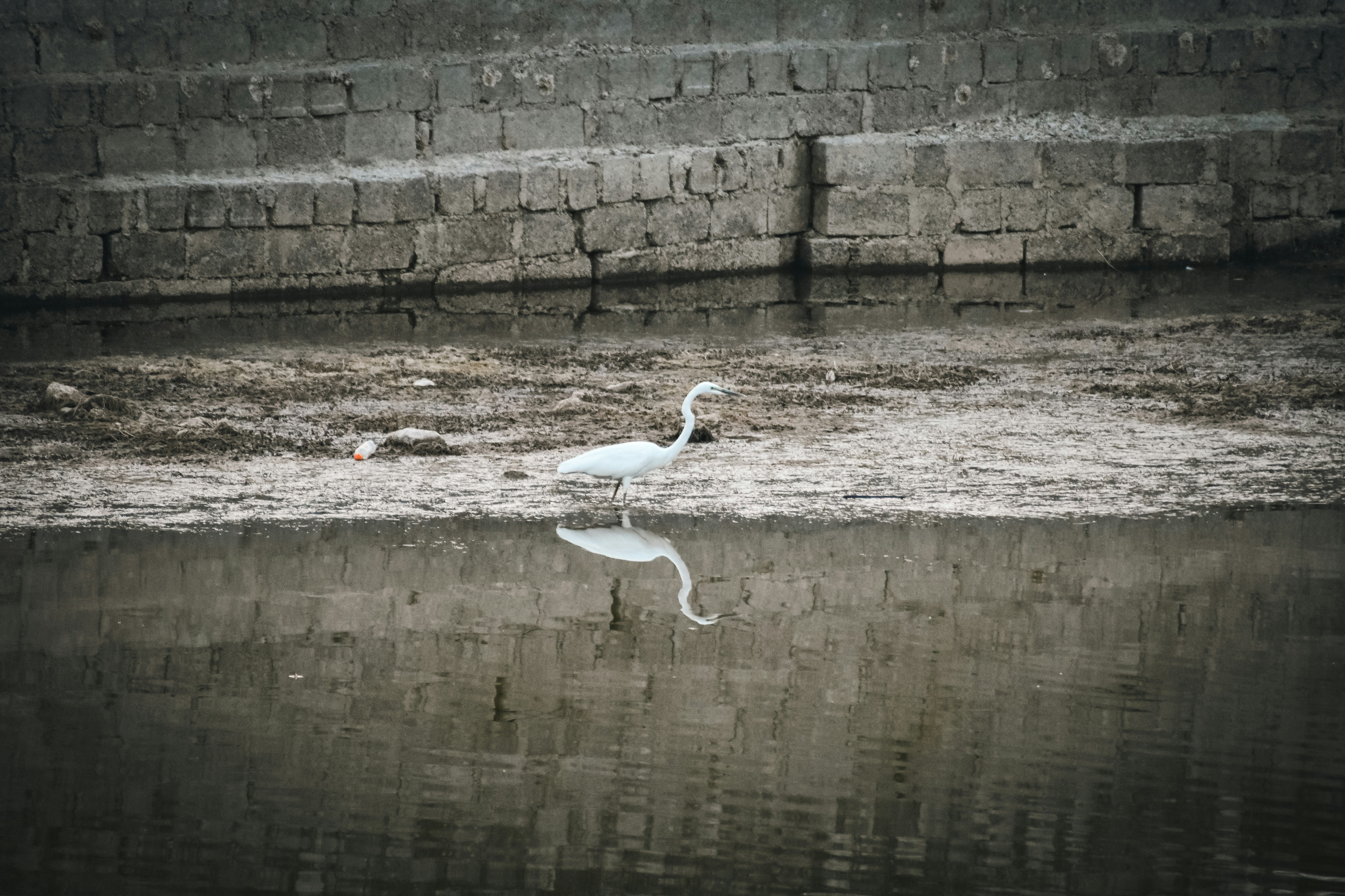 Photo by garv_4