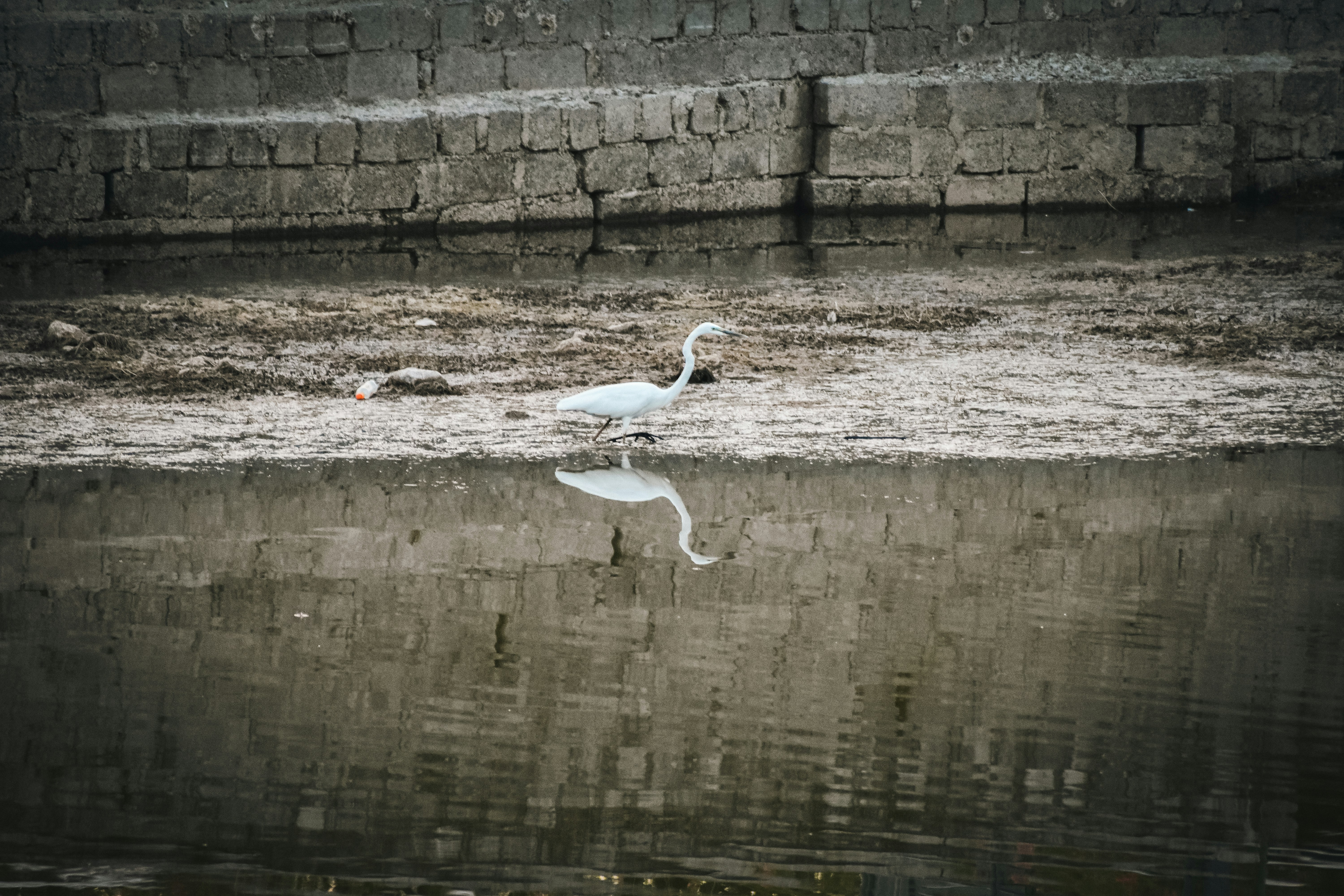 Photo by garv_4