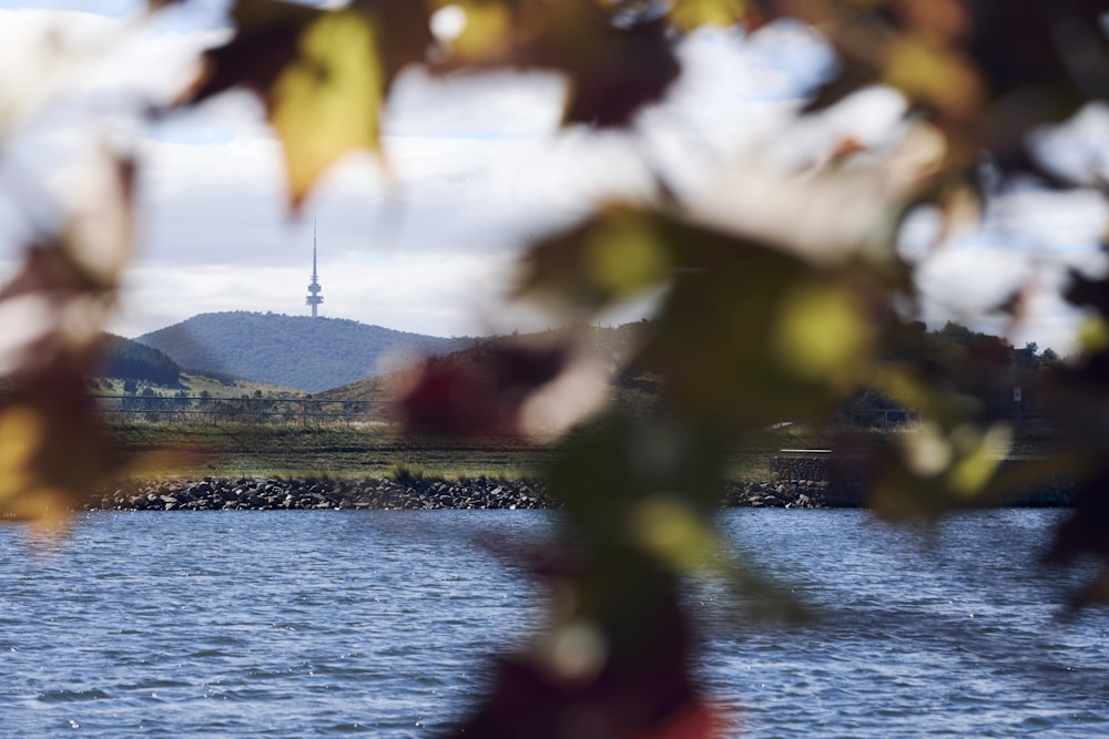 a view of a body of water with a tower in the background