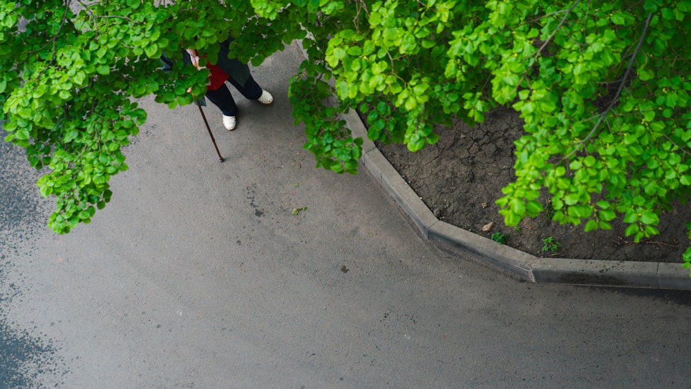 a man walking down a street next to a lush green tree