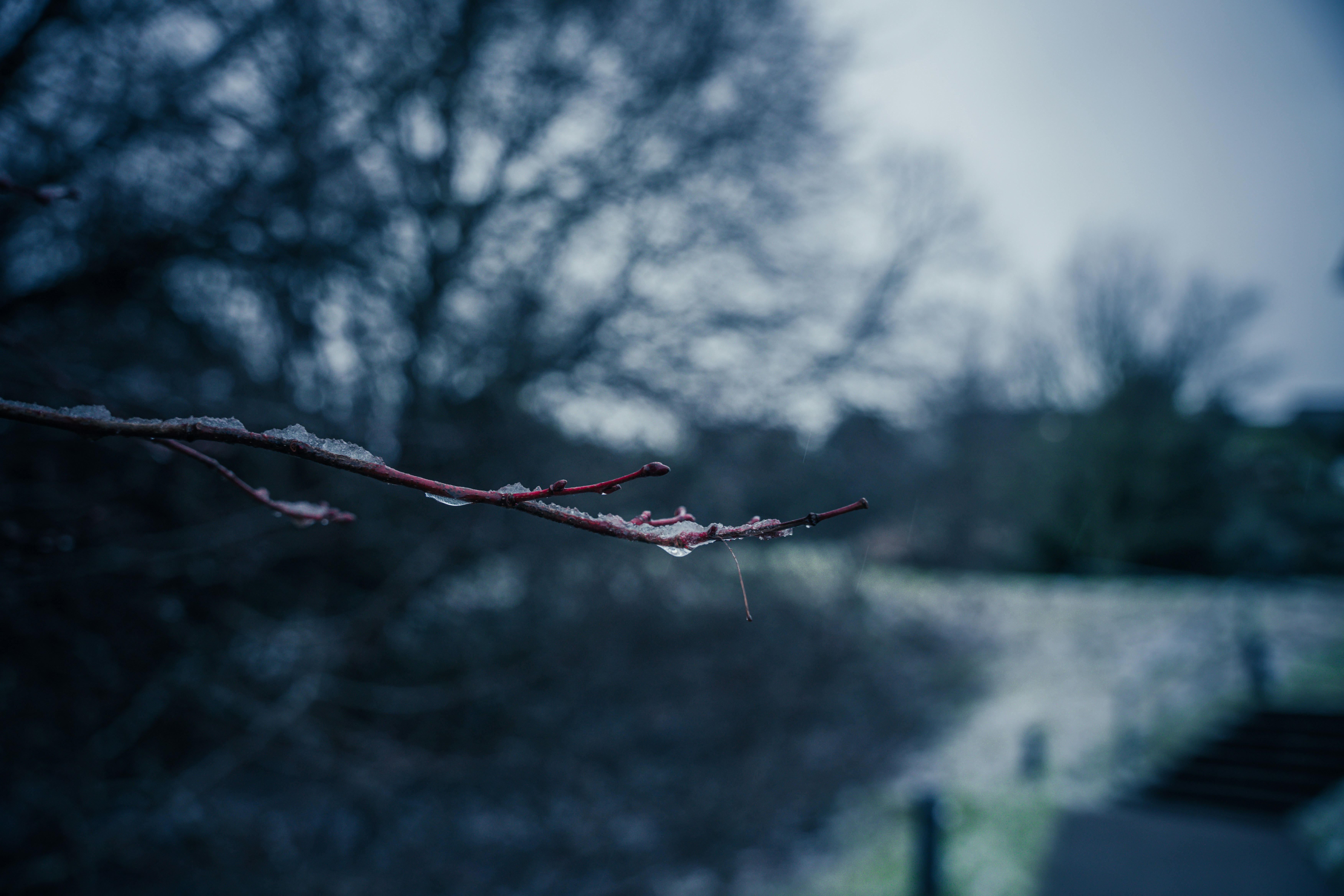 Photo by winstontjia