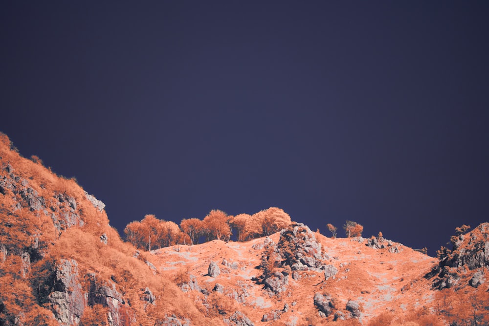 a hill with trees on it and a dark sky in the background