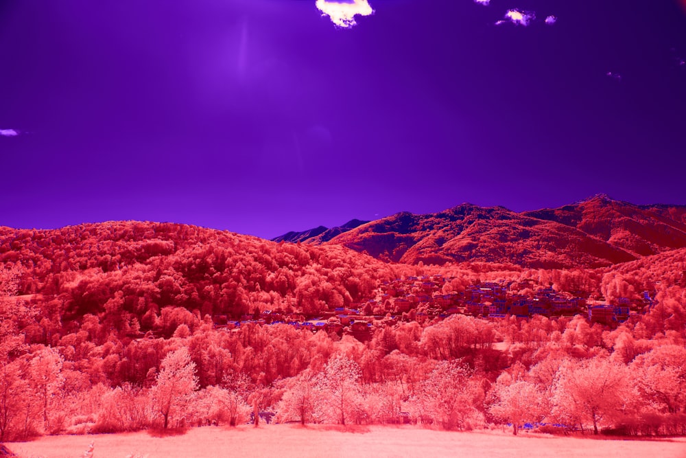 a infrared image of a mountain range with trees
