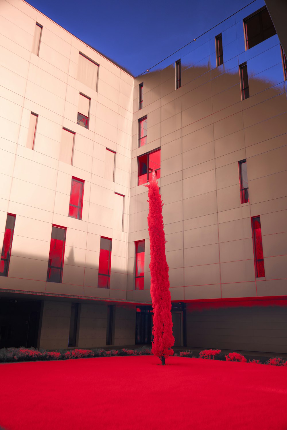 a tall red tree in front of a building