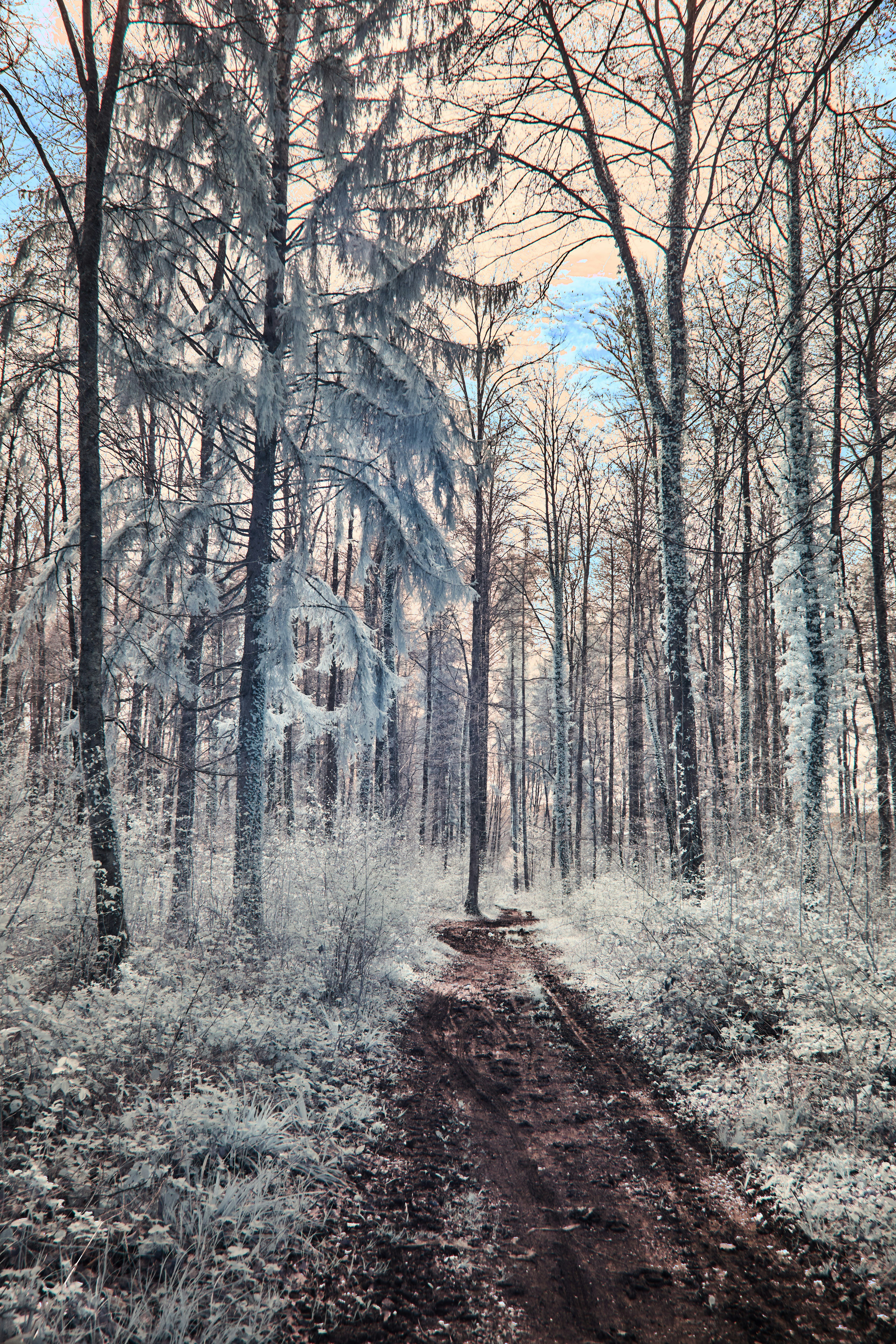 Photo by wolfgang_hasselmann