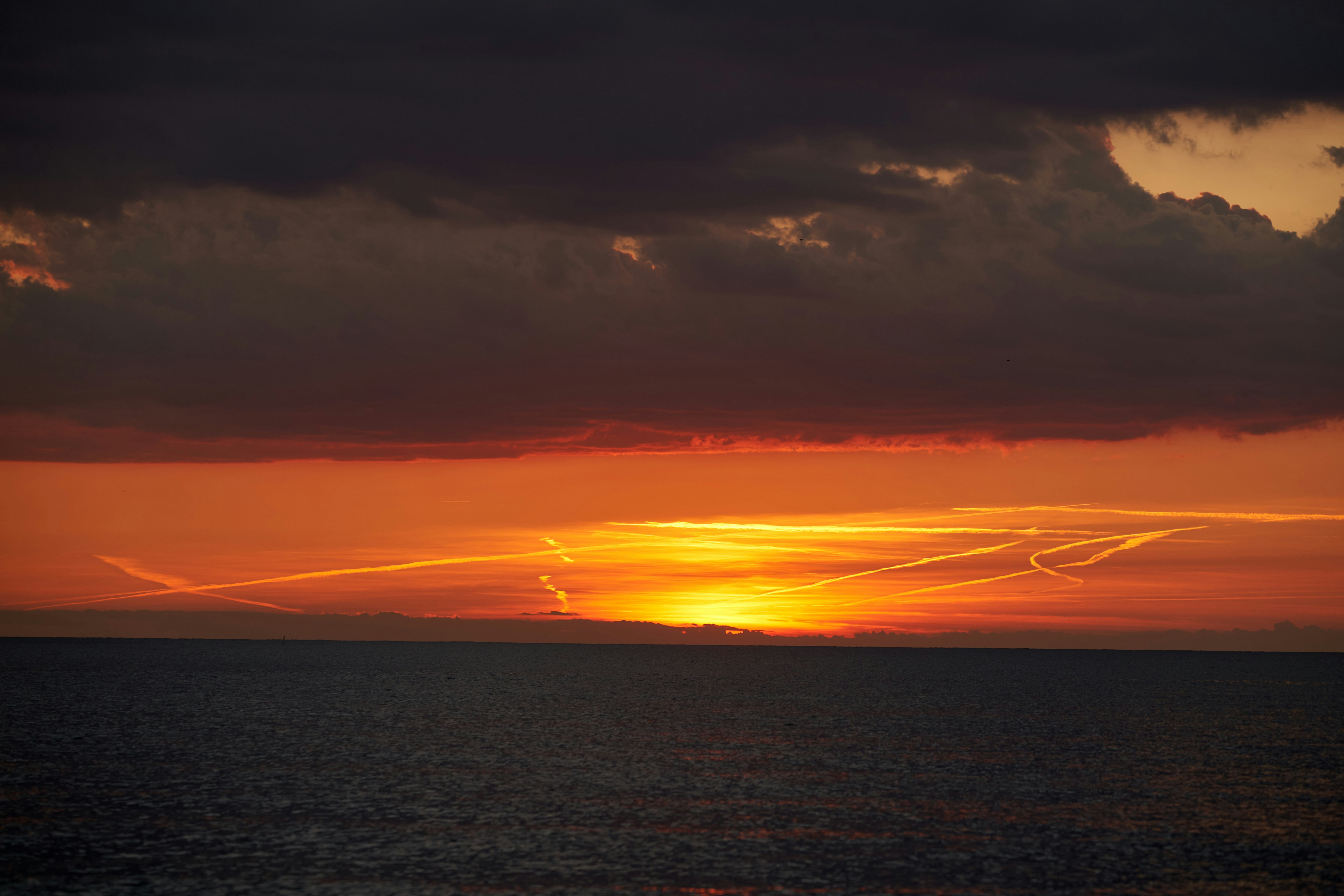 Photo by wolfgang_hasselmann