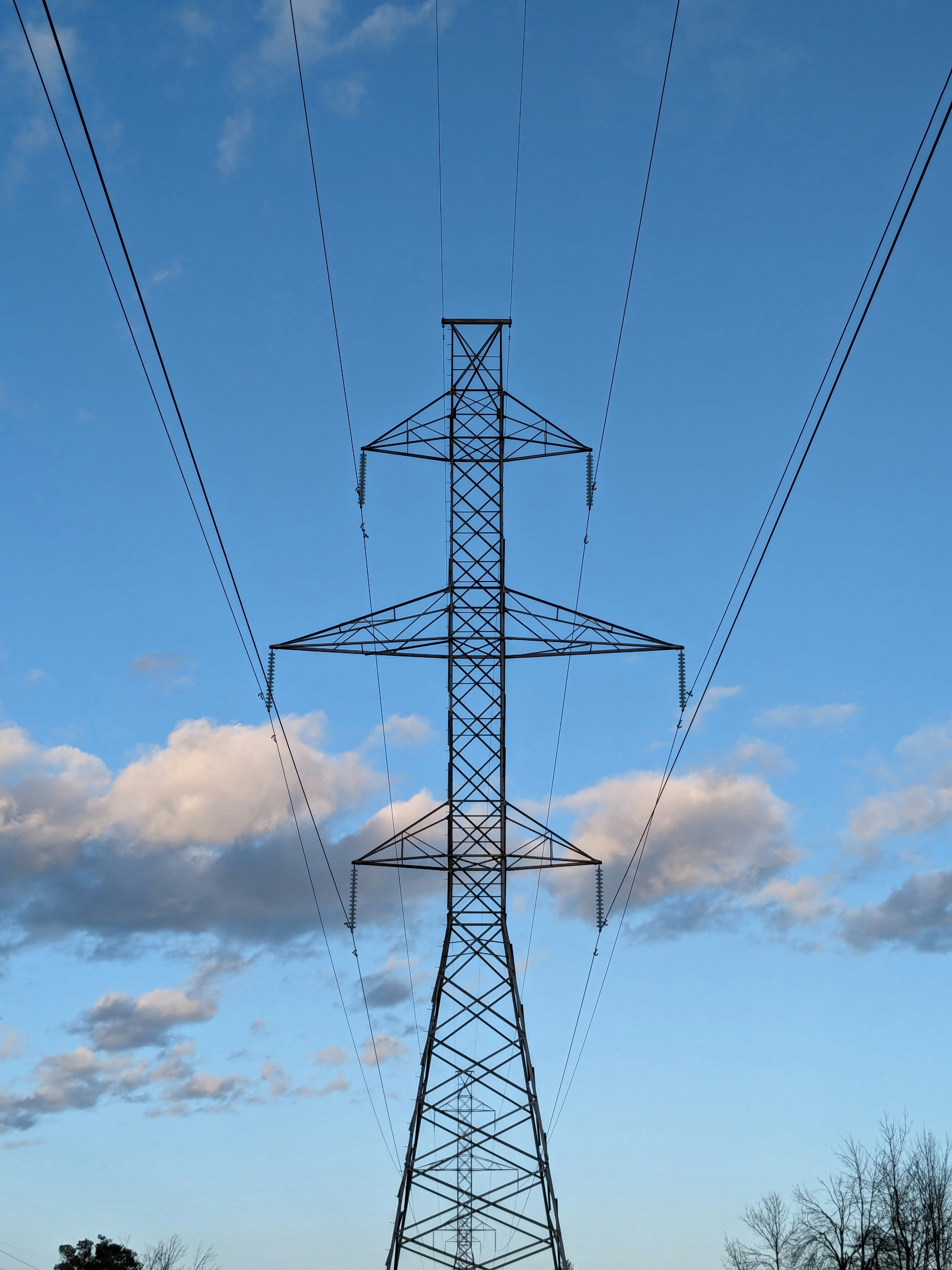 Photo by hashcode_error