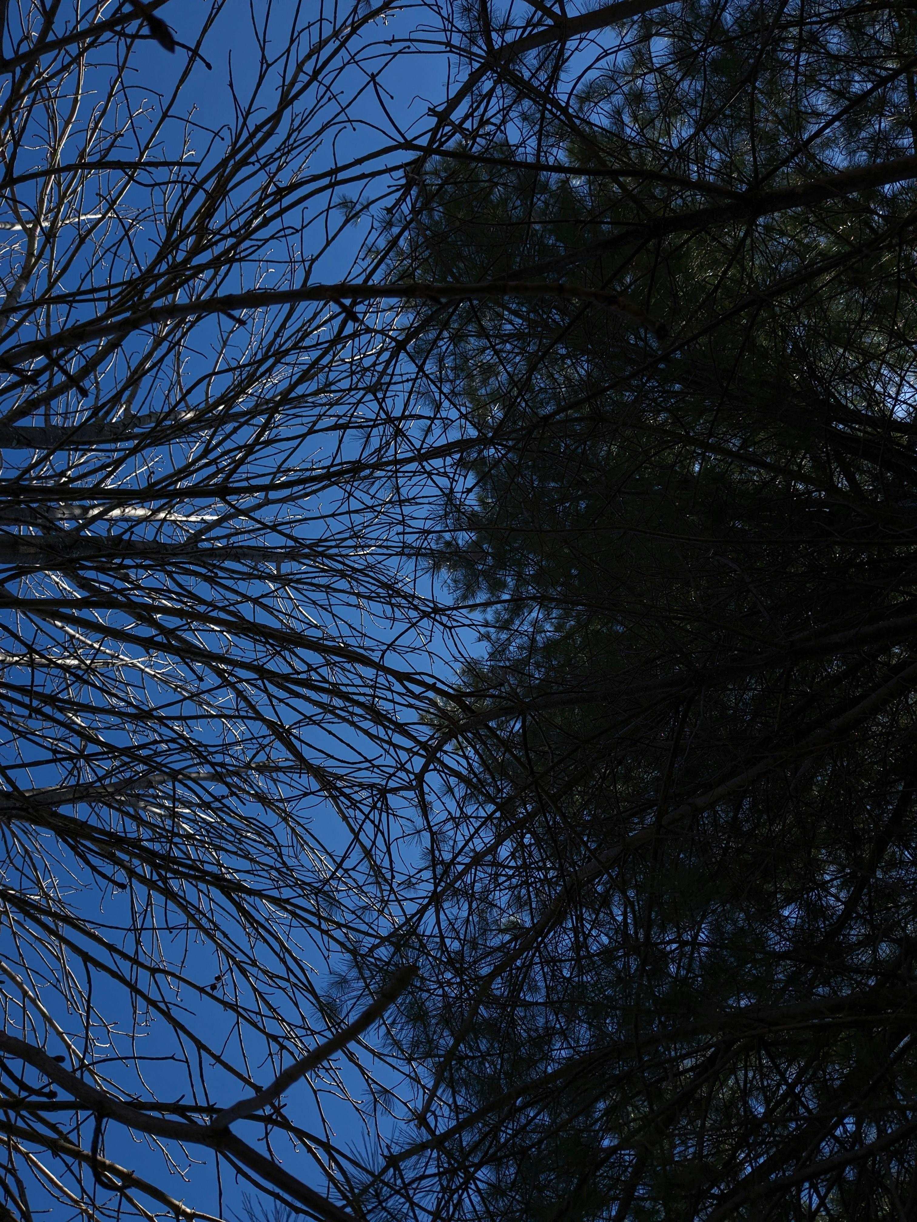 Photo by hashcode_error