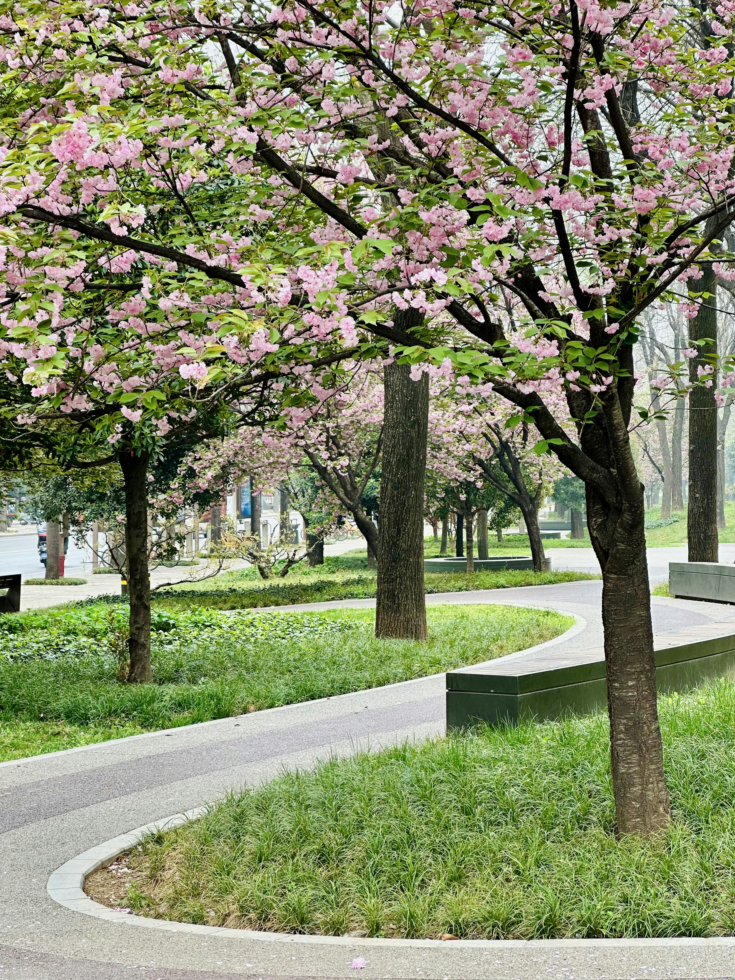 Photo by maooooozaizi