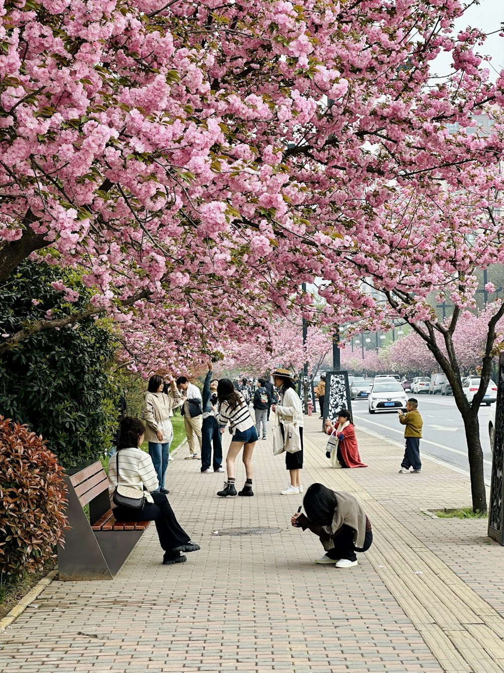 a group of people standing on a sidewalk next to a tree