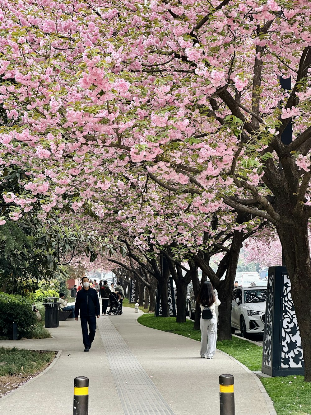 a couple of people walking down a sidewalk under a tree