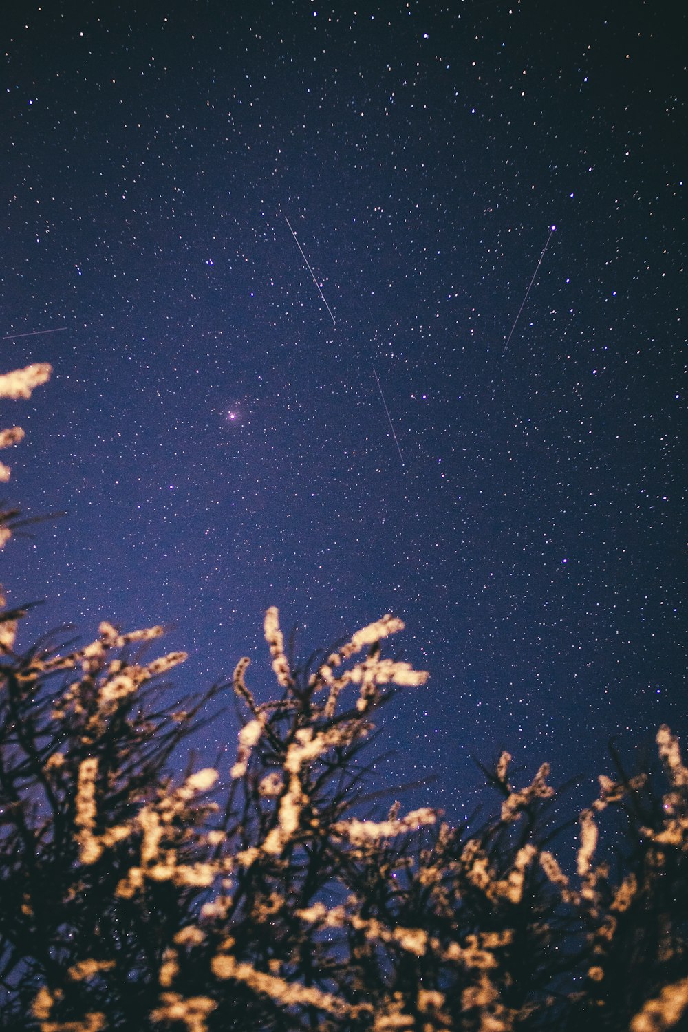 a night sky with stars and a shooting star
