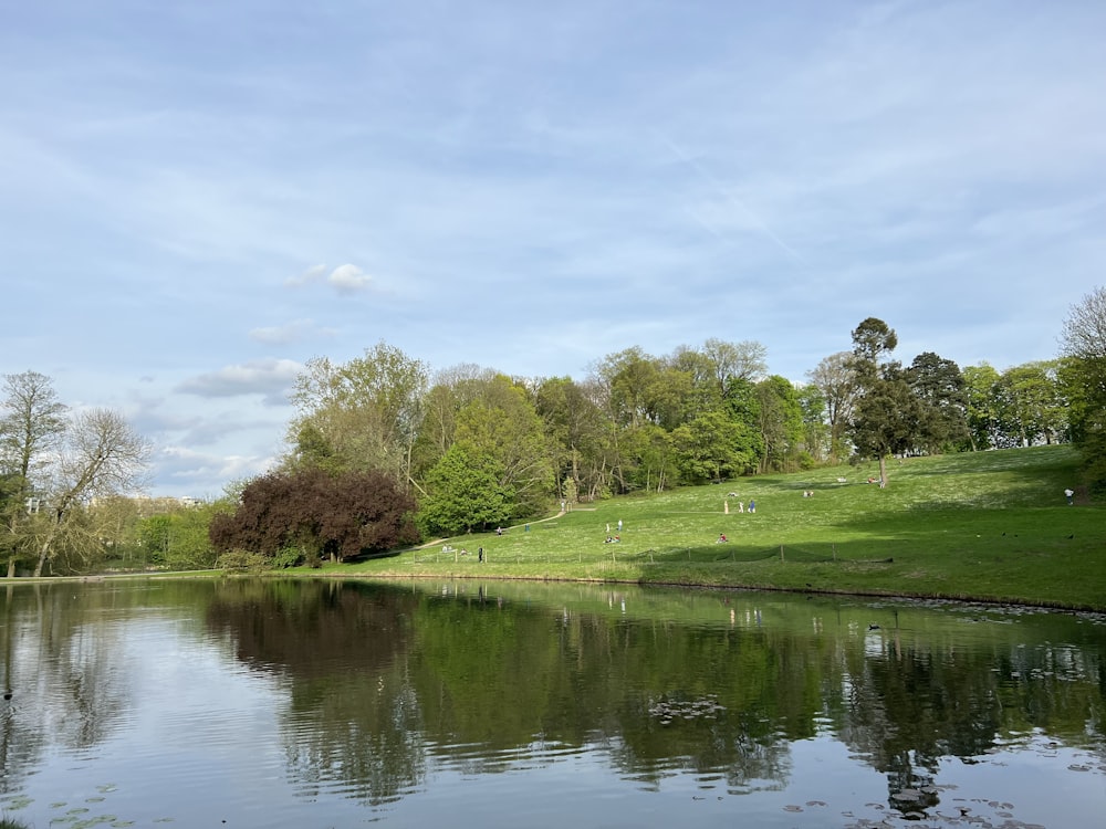 a body of water surrounded by trees and grass