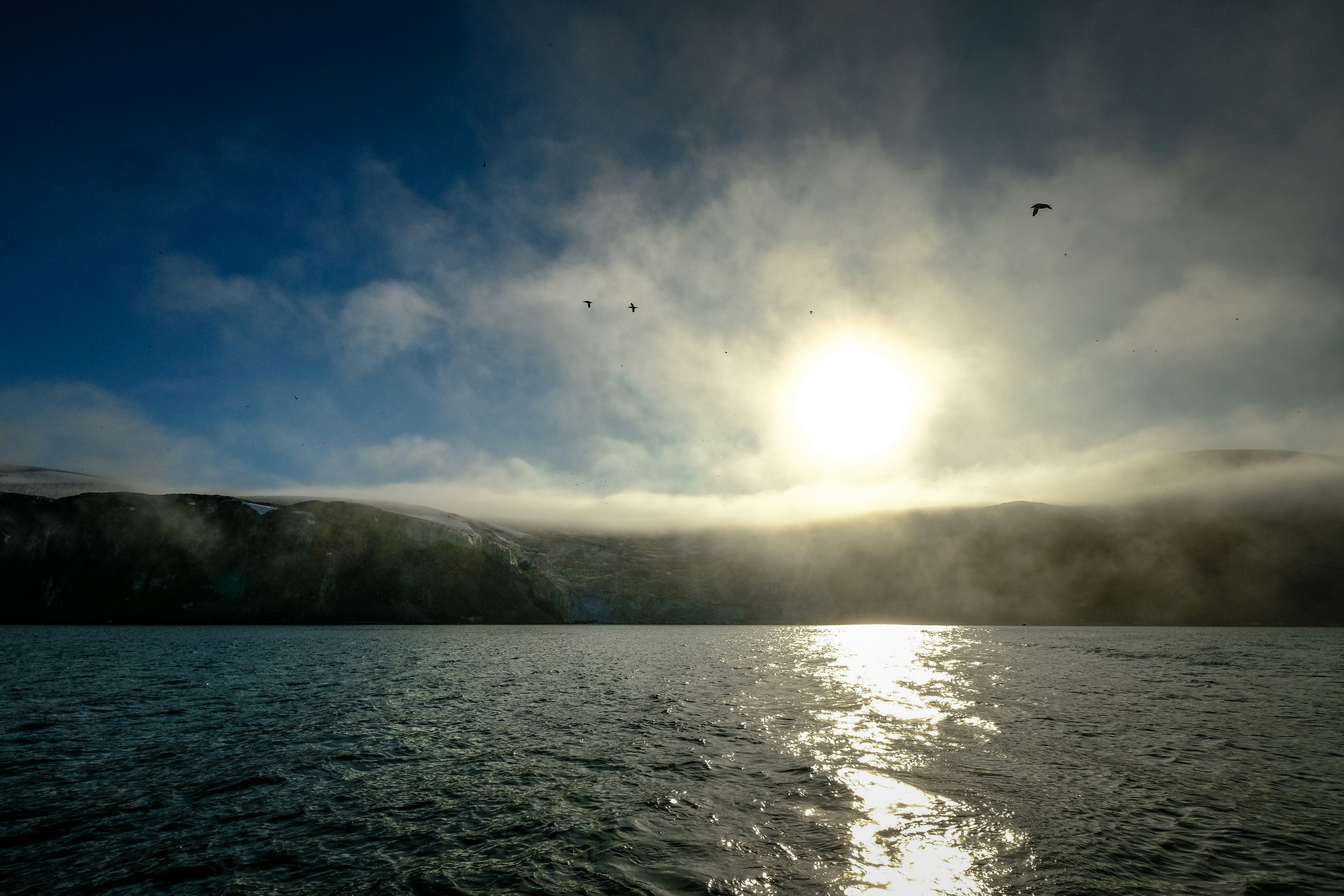 Photo by francesco_ungaro