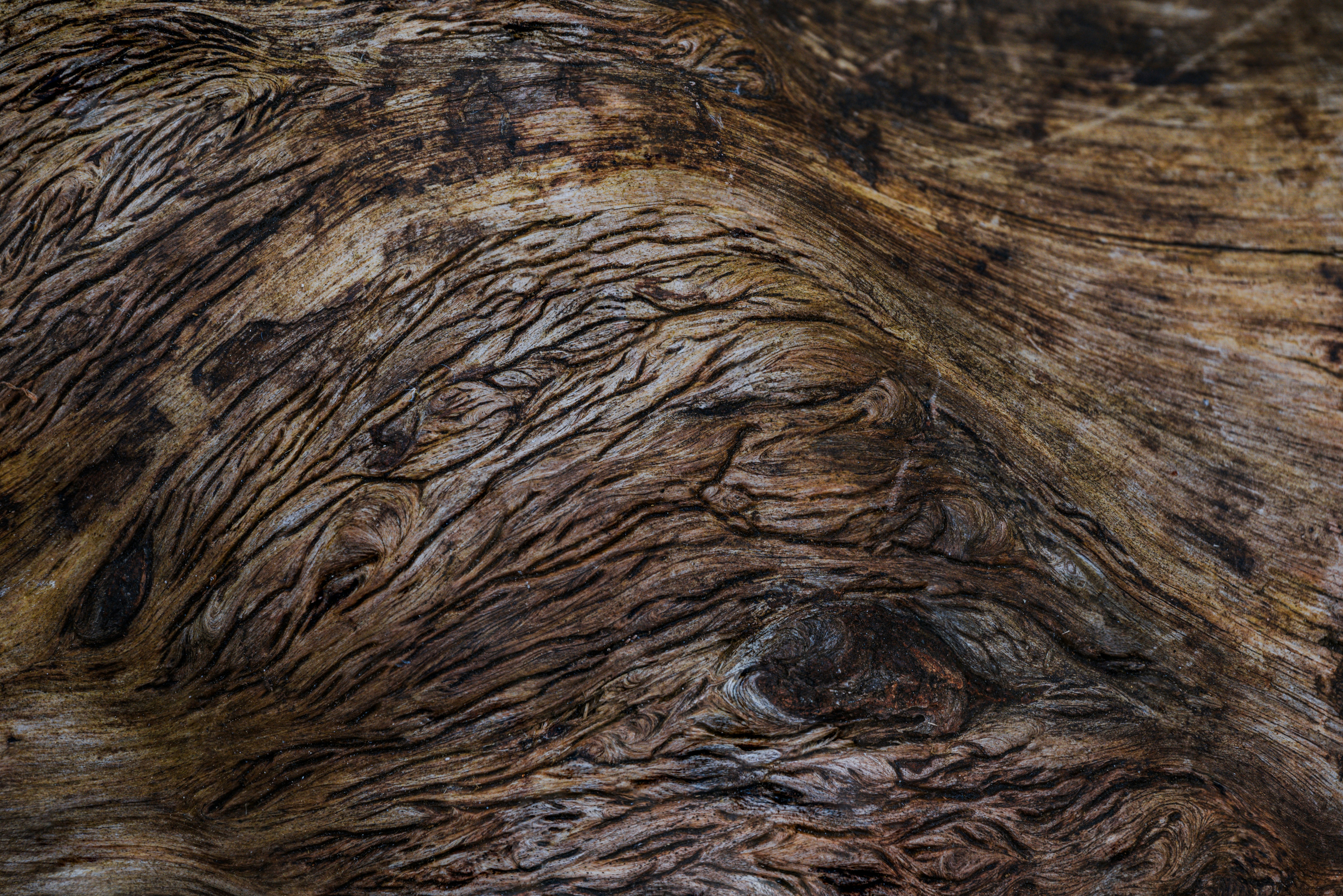 Photo by jetztabertempo