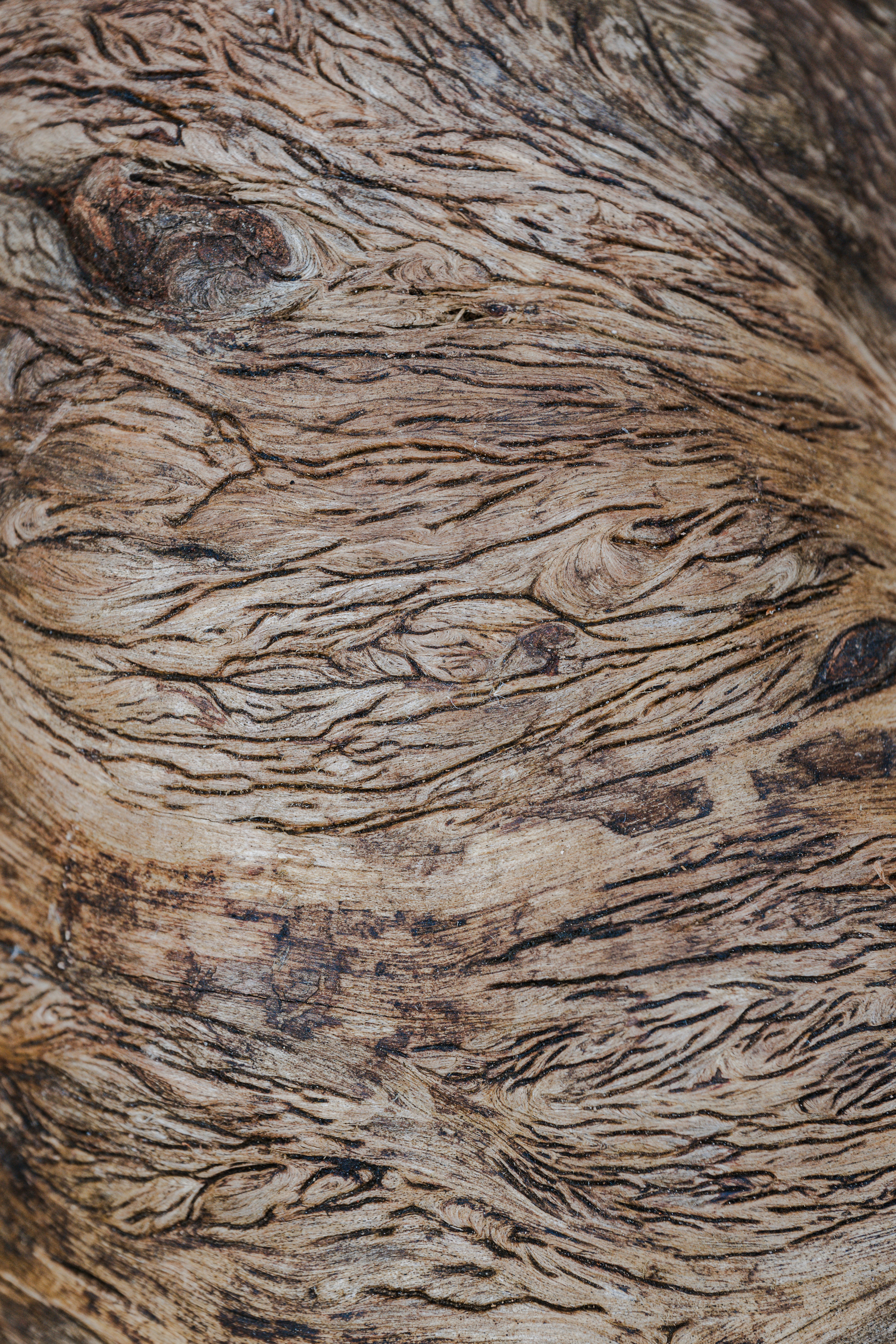 Photo by jetztabertempo