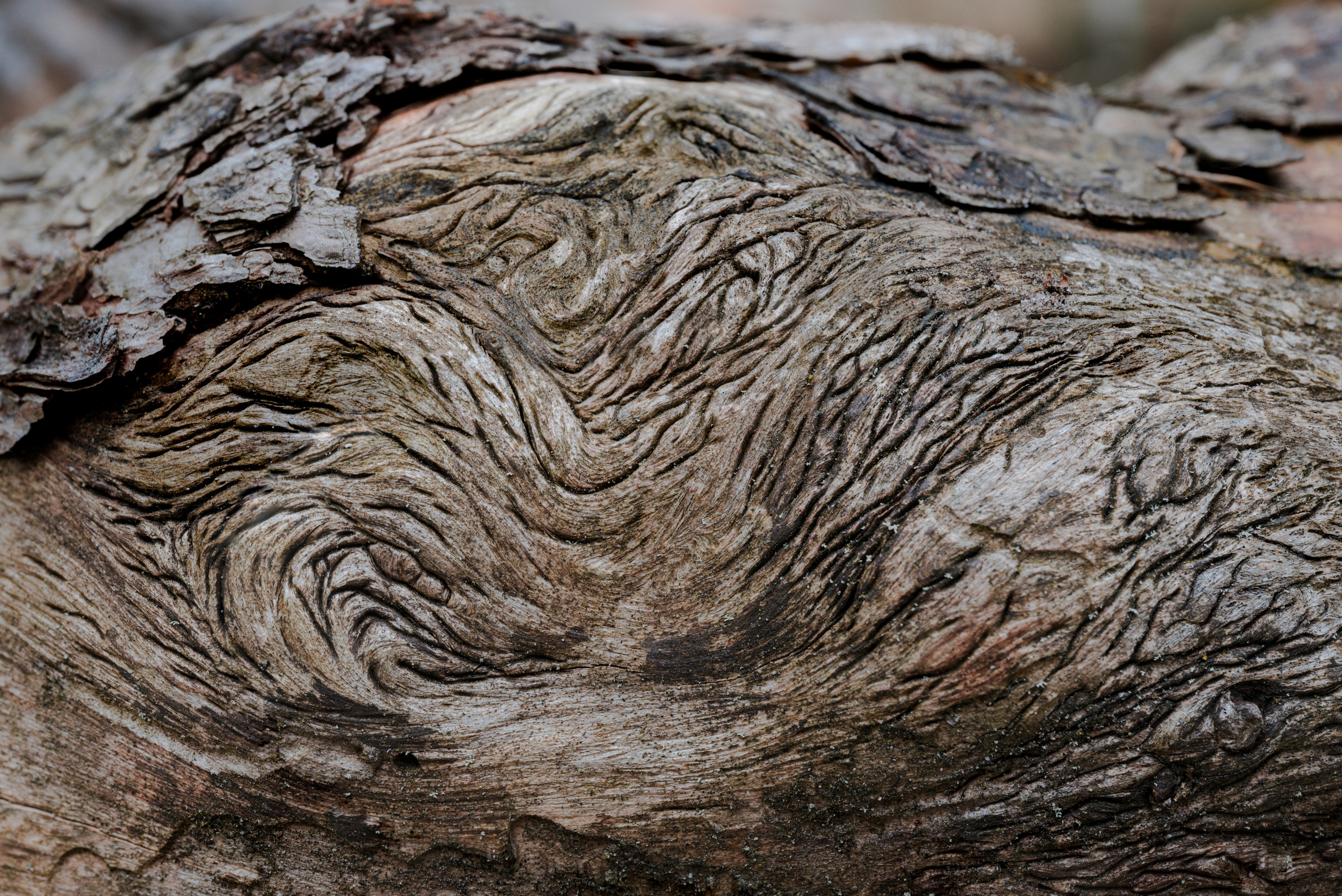 Photo by jetztabertempo