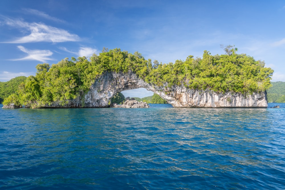 an island in the middle of a body of water