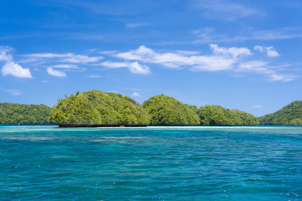 an island in the middle of a body of water