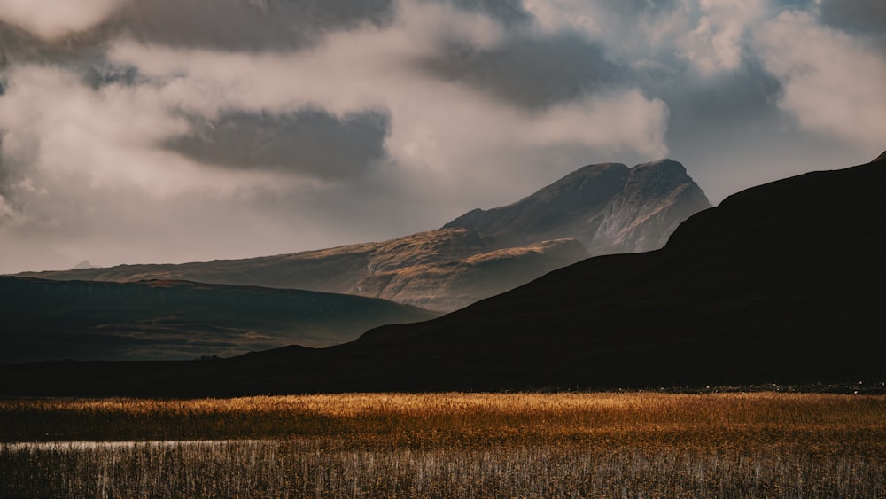 a field with a mountain in the background