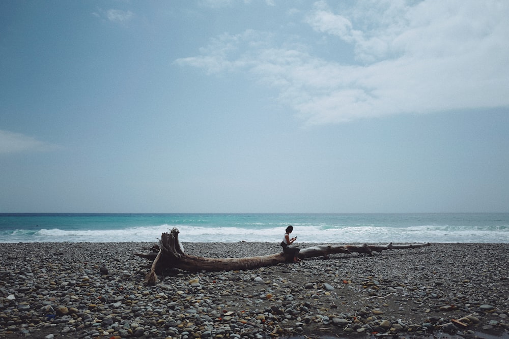 a log laying on a beach next to the ocean