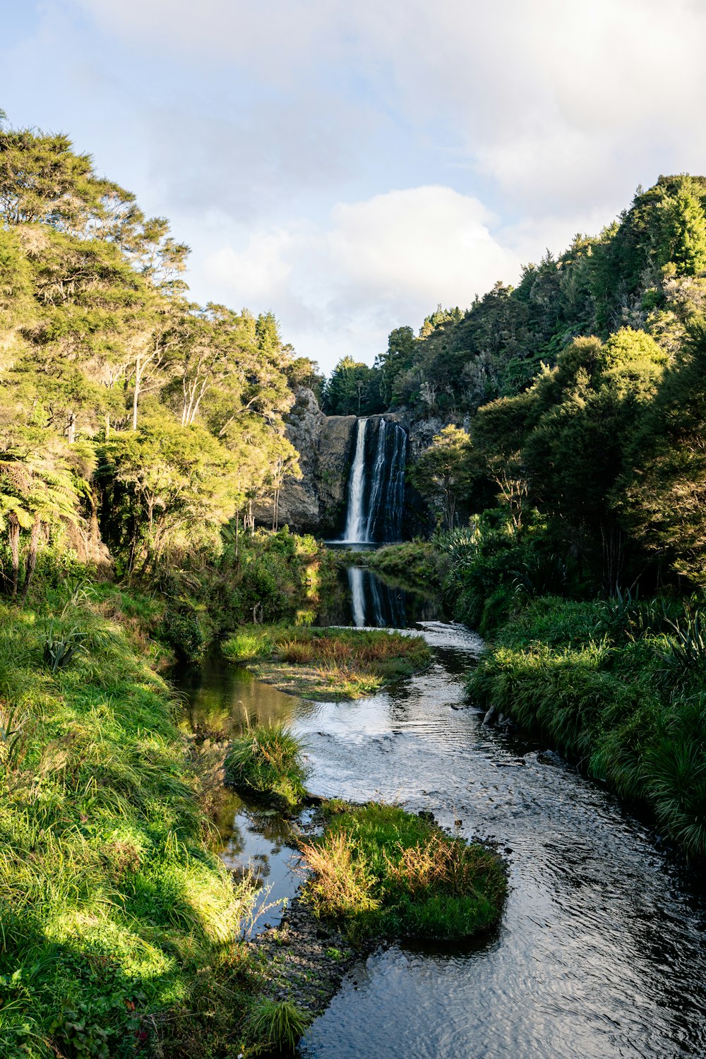 a river running through a lush green forest